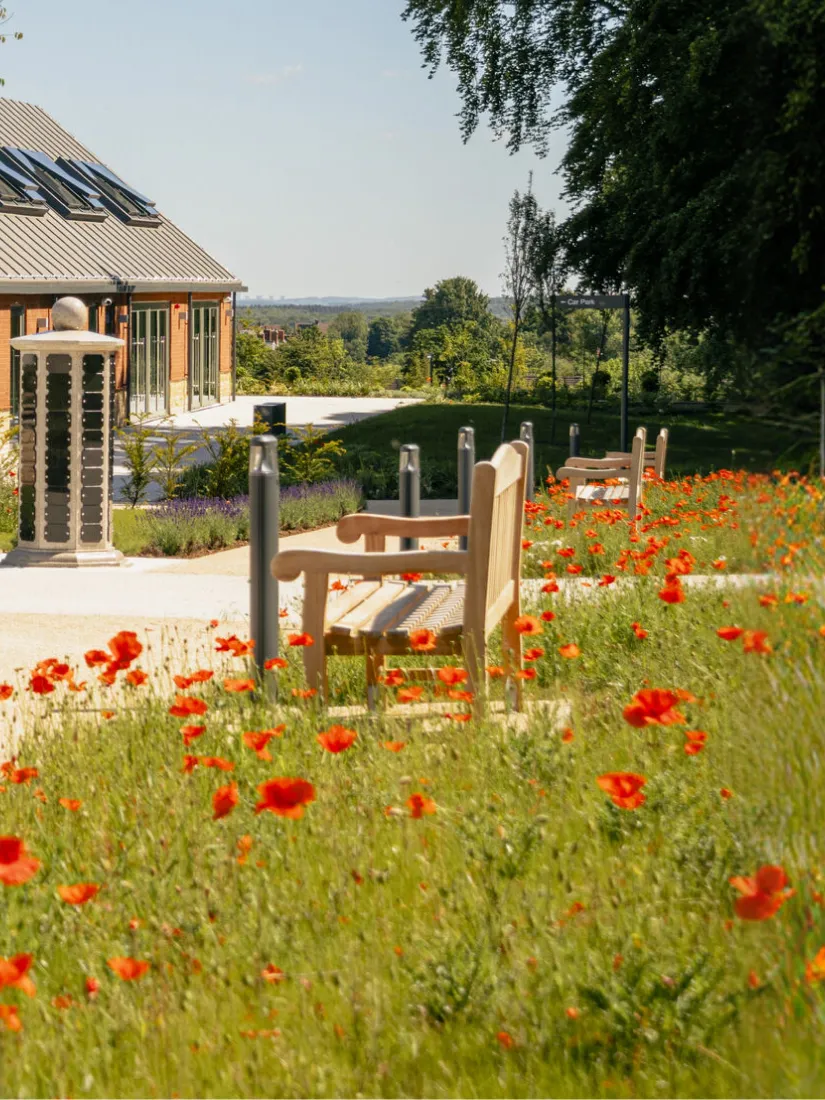 Wooden benches along a path bordered by green grass and red poppy flowers near a building.