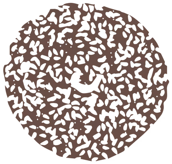 Sliced raisin bagel on a white surface.