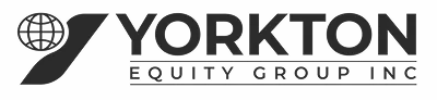 Yorkton Equity Group Inc logo with stylized globe and letter Y.