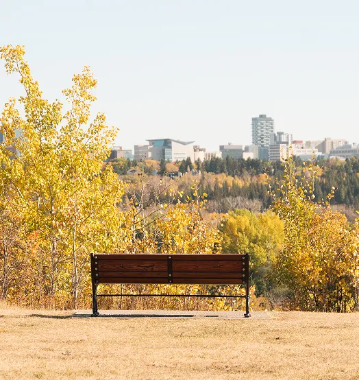 Empty wooden bench facing a colorful autumn landscape with trees and a city skyline in the background.