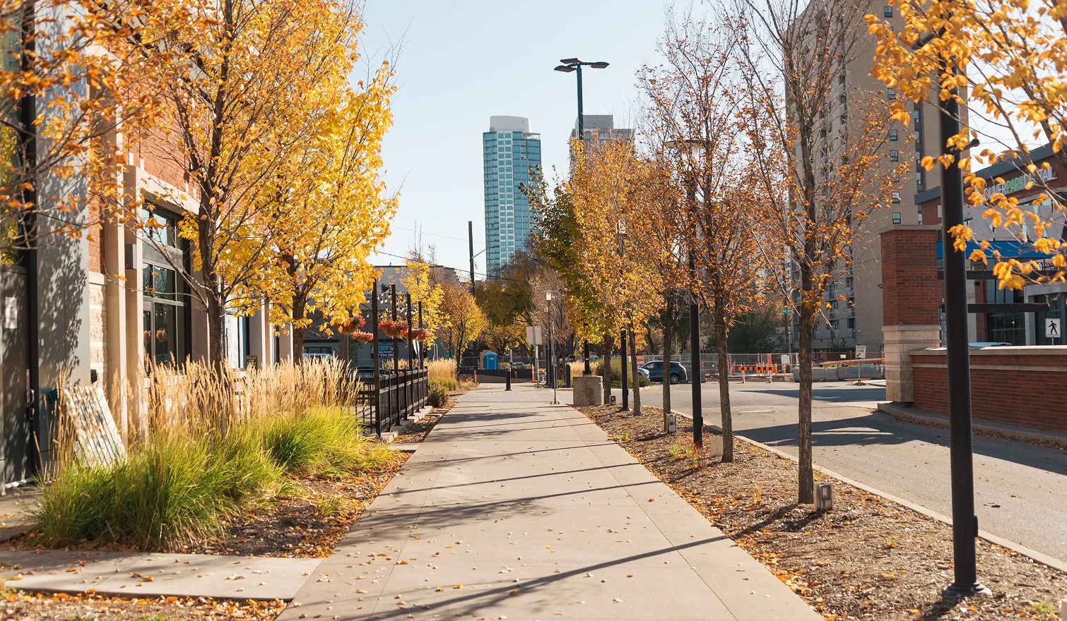 Sunlit urban sidewalk lined with trees featuring autumn foliage and tall grasses beside buildings.