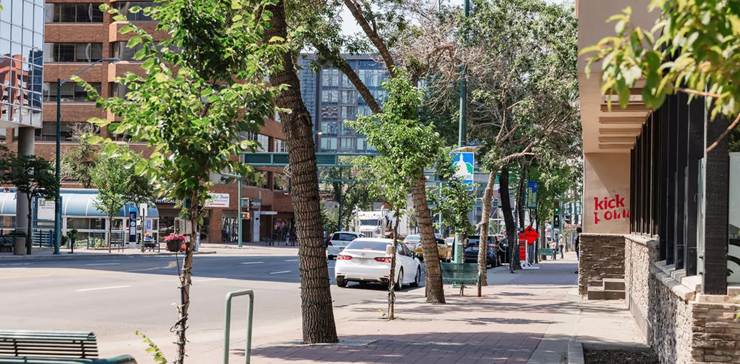 Urban street scene with sidewalk, trees, parked cars, and storefronts in daytime.