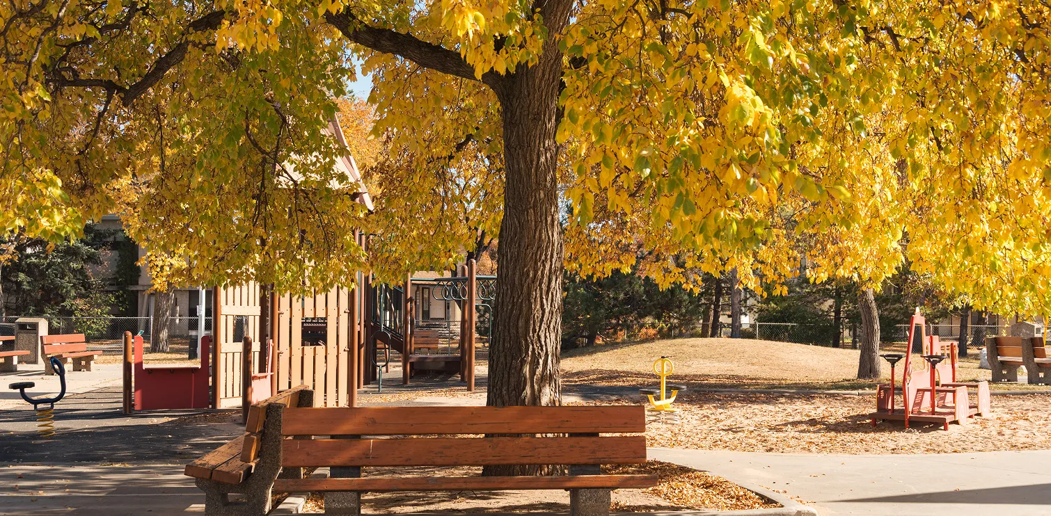 Wooden bench under a large tree with yellow autumn leaves in a playground with various play equipment.