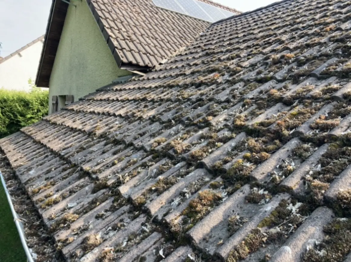 Toiture en tuiles rouges foncées à Floing, surface couverte de mousse verte et zones noircies, météo sèche.
