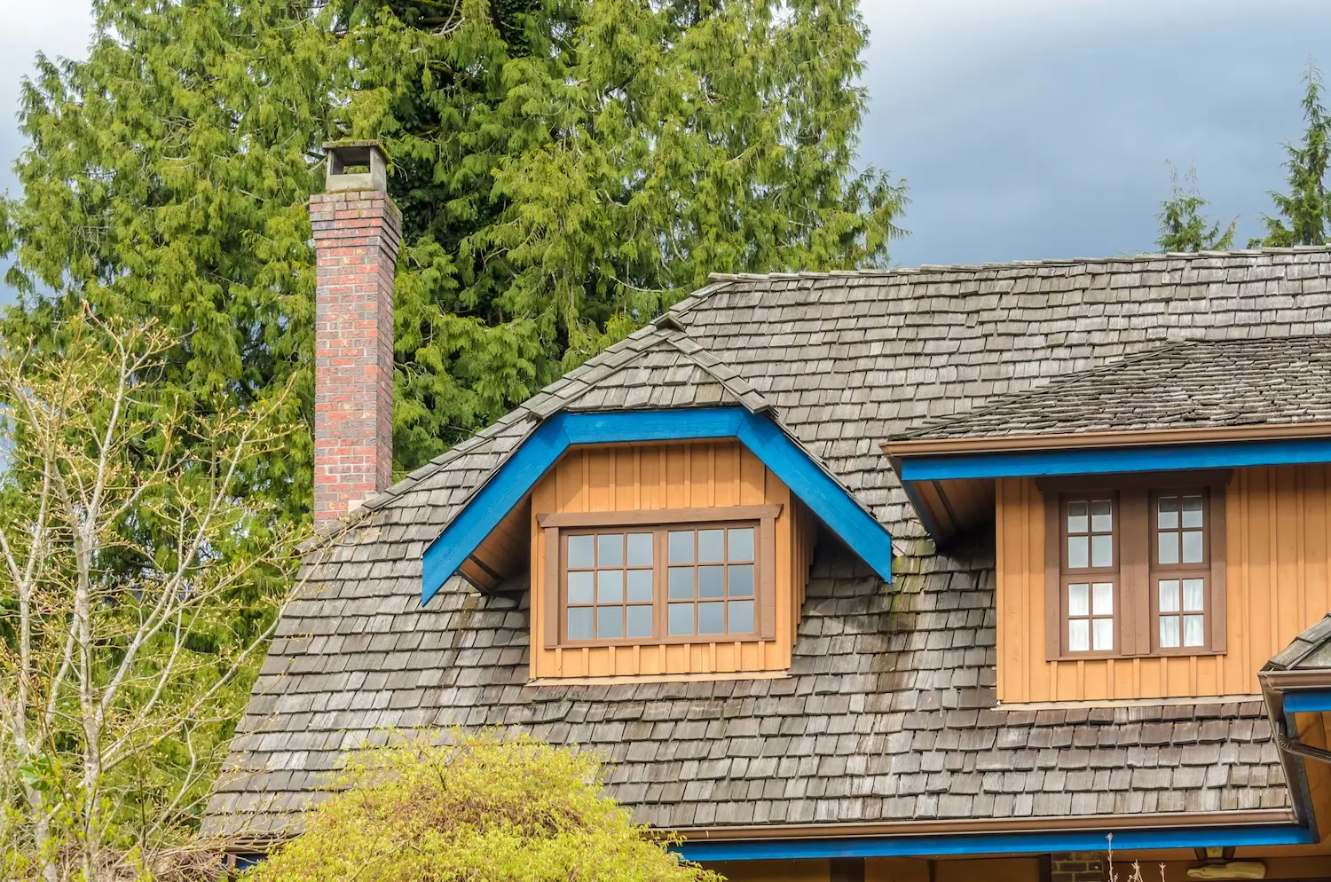 A home with an aging cedar shake roof showing weathered, curling shakes around a dormer window, surrounded by tall evergreen trees.