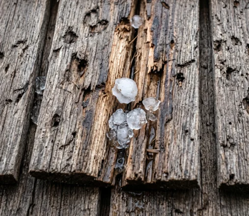 Close-up of hail damage on a cedar shake roof with cracked bruised and pockmarked shakes