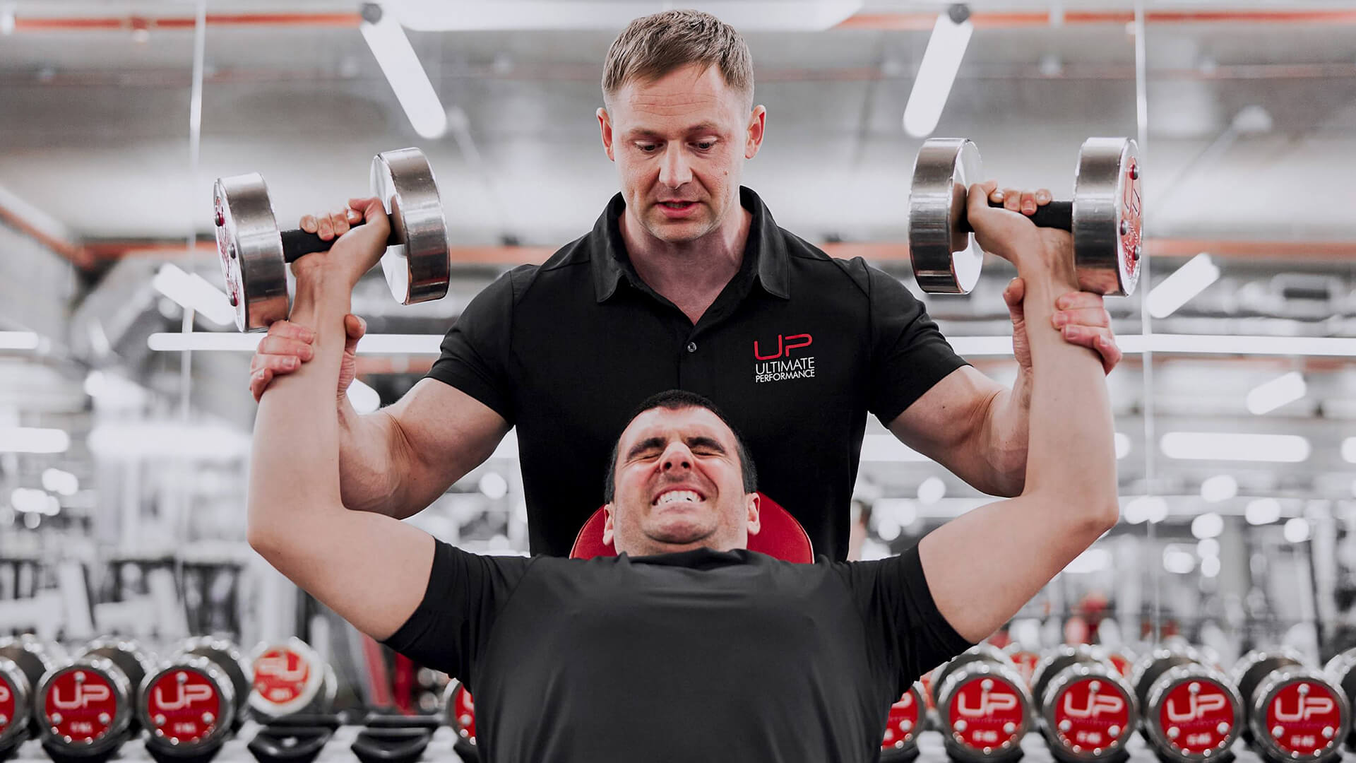TRAINING MUSCLE GROUPS: A COMPLETE SERIES