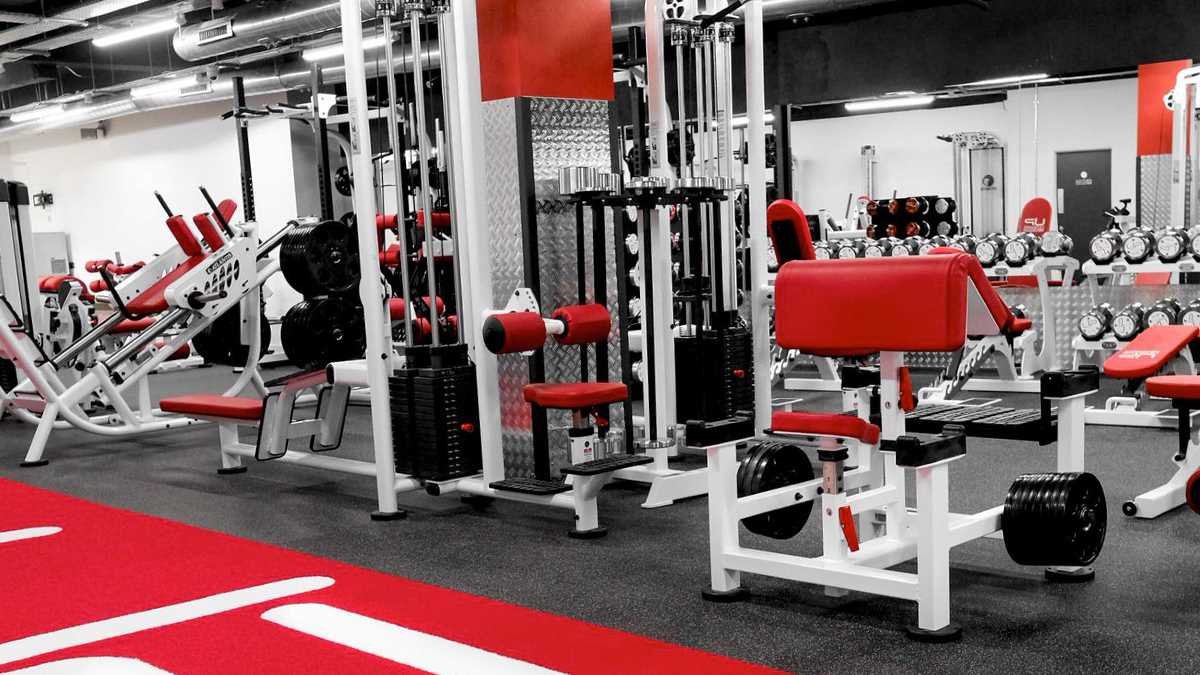 How personal trainers develop world-class careers off the gym floor: Inside U.P.