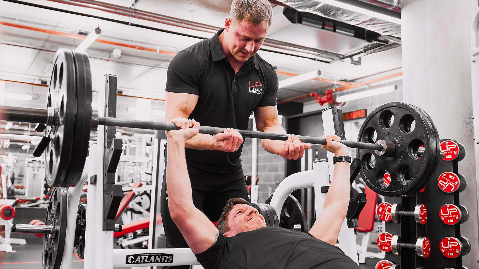 The Definitive Guide to the Bench Press