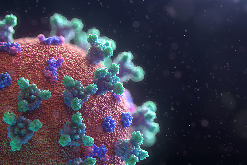 Comorbidities Are the Real COVID-19 Risks