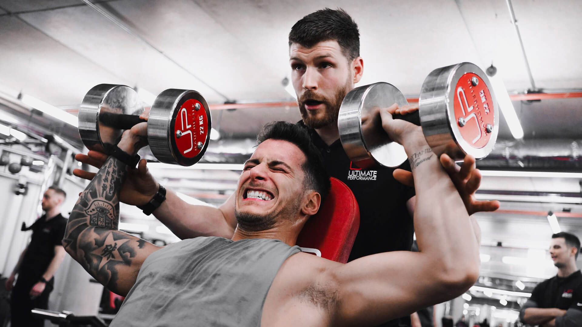 Gemma and Gorka's Trainer 'Evil Steve' Talks About Their Training and Diet: Holiday Training Blog