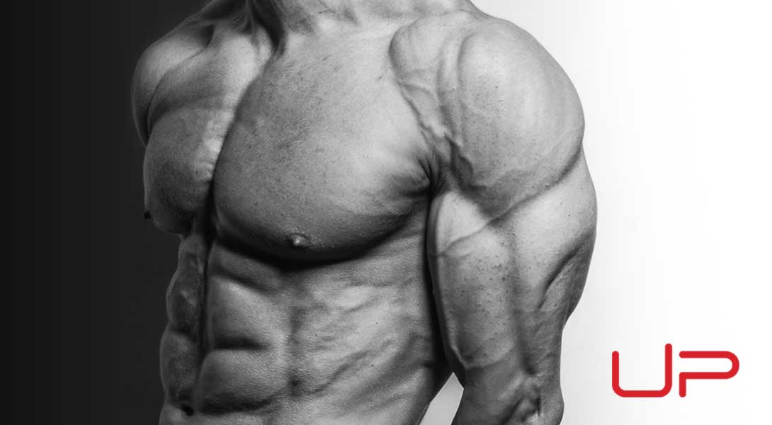 How to Build Huge Shoulders Like U.P. Trainer Nick