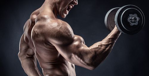 Best Rep Ranges for Building Muscle