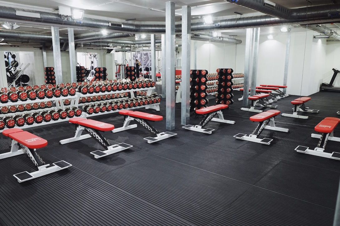 How Our Clients Lose Fat in 6 Weeks