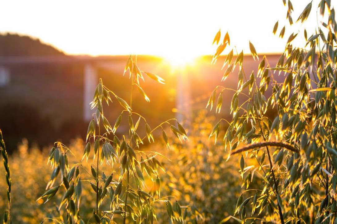 Vitamin D3 &amp; Its Connection to Multiple Sclerosis