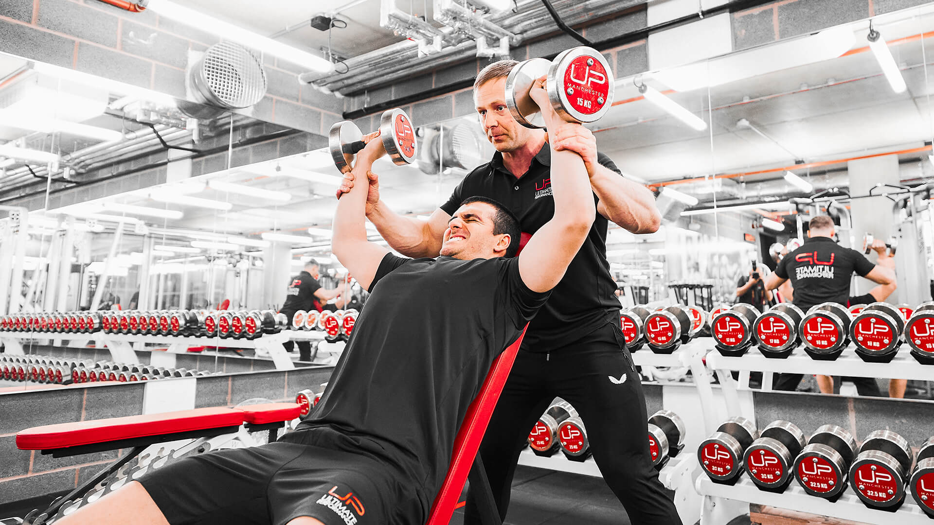 Diet vs. Exercise: The Truth About U.P.'s Body Transformations