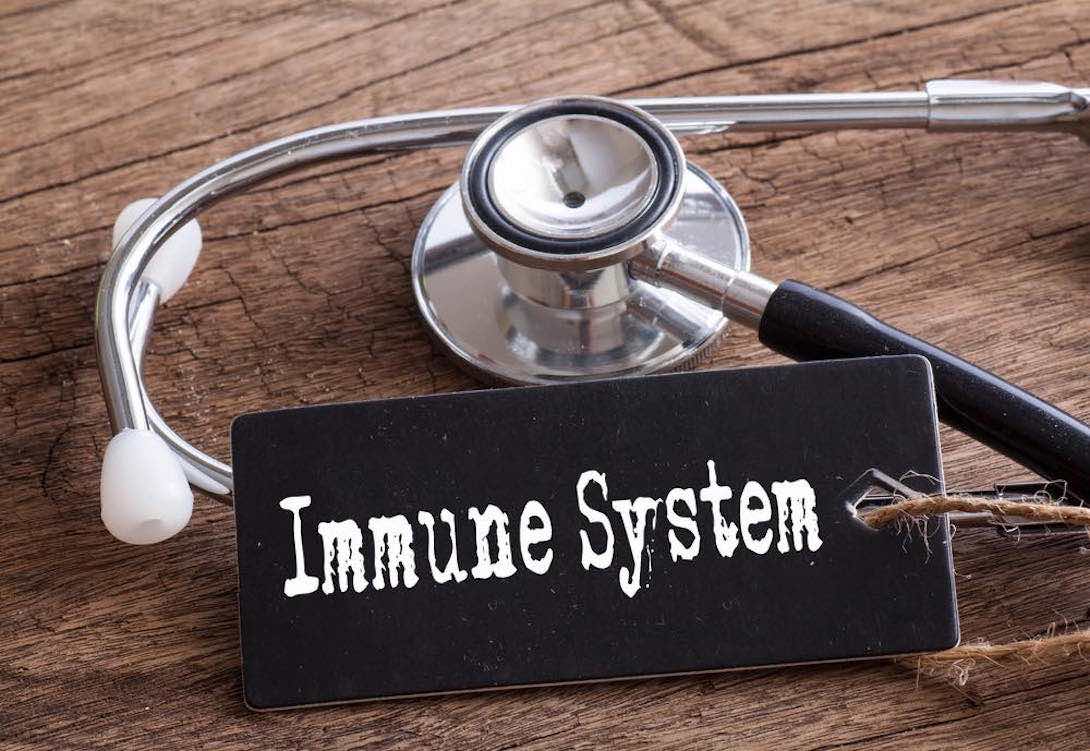 Swine Flu &amp; Maintaining a Healthy Immune System