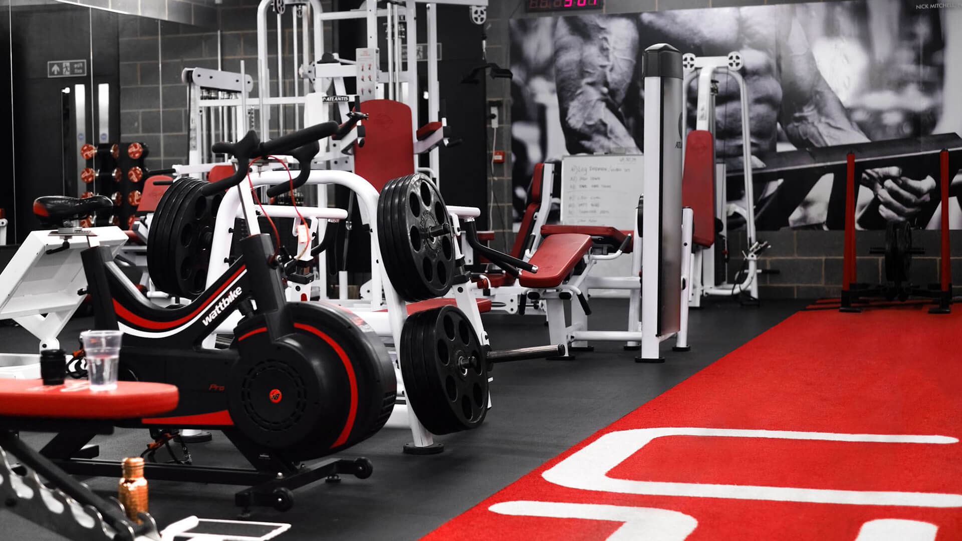 5 Things to Learn from a Body Transformation - Trainer Emily