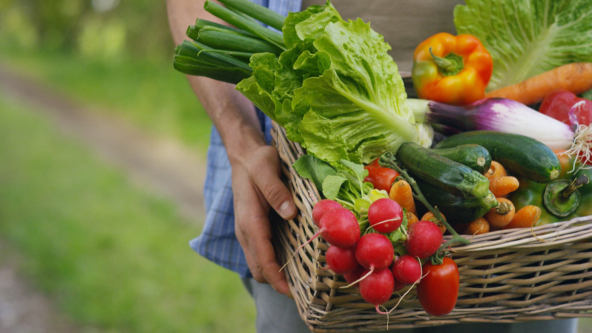 The Beginner's Guide To Cortisol Management