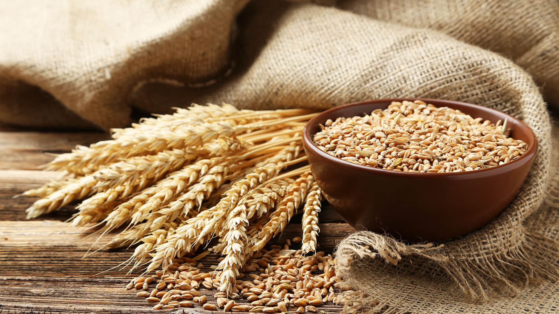 WHEAT - Chemical Warfare: Plant Style