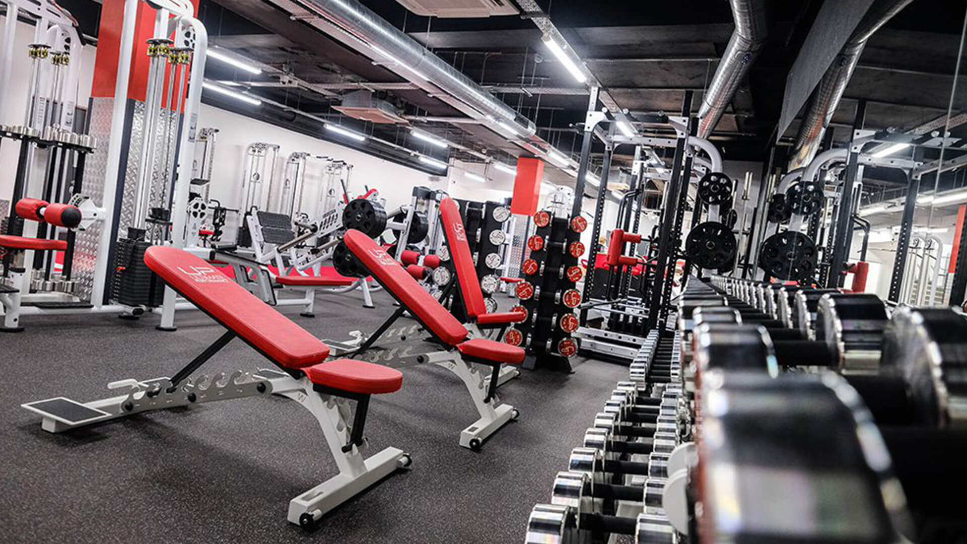 Personal Training Observations: Rants from the Gym Floor