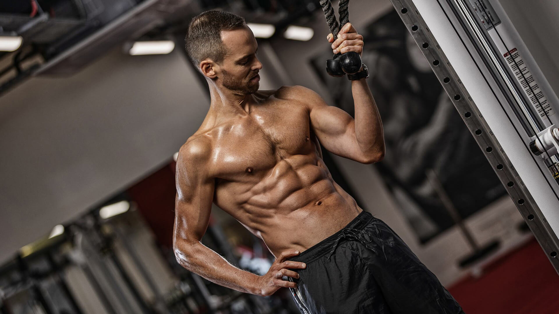 Supplements for Muscular Size and Strength
