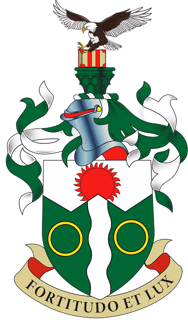 Coat of arms featuring a green shield with a white wavy vertical stripe, two golden rings, and a red sun above, topped by a silver helmet with green and white mantling and an eagle holding a red and gold striped shield, with a banner below reading 'FORTITUDO ET LUX'.