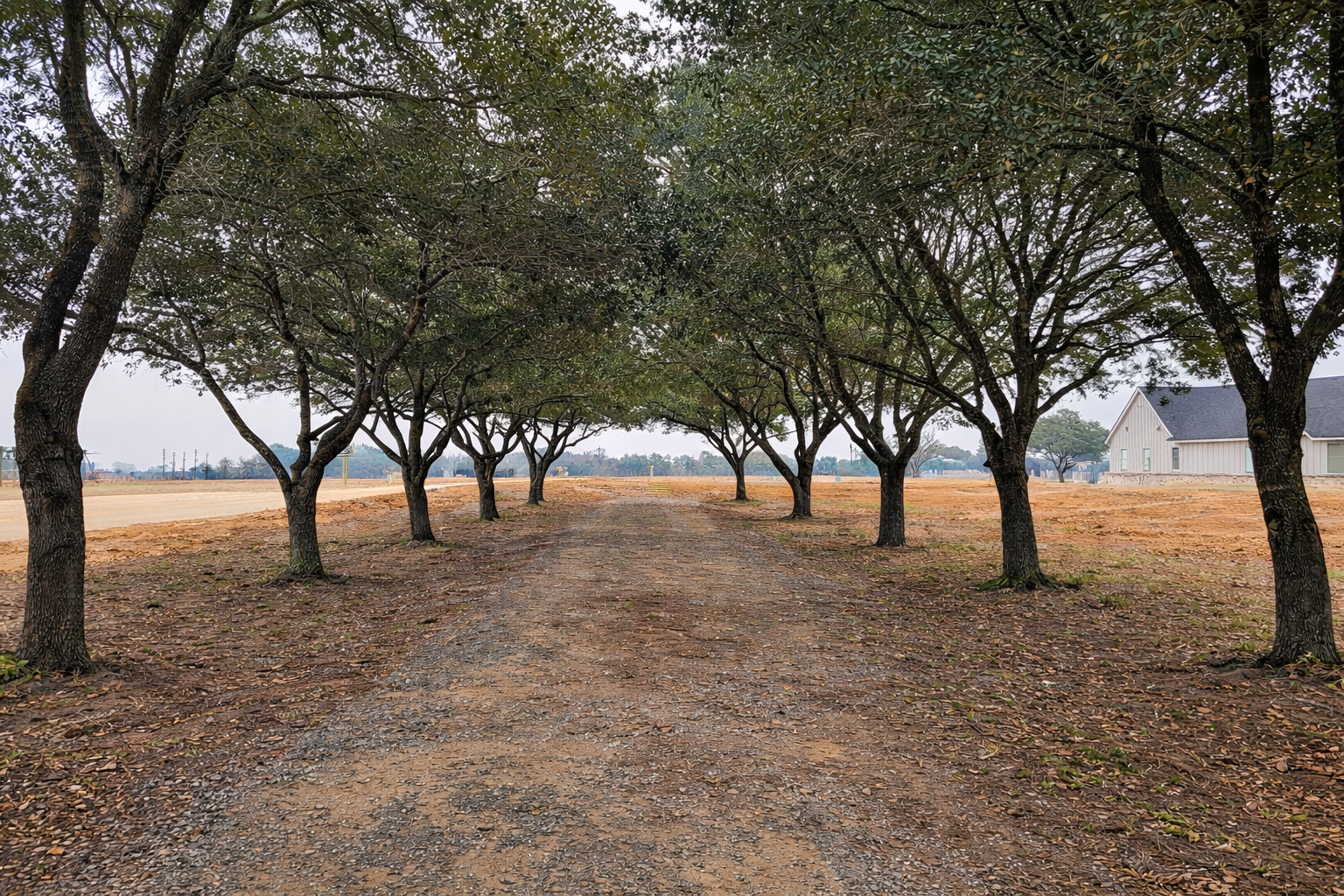 Future parks at Ten Oaks.