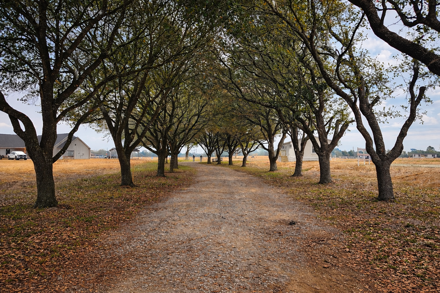 Multiple future parks at Ten Oaks.