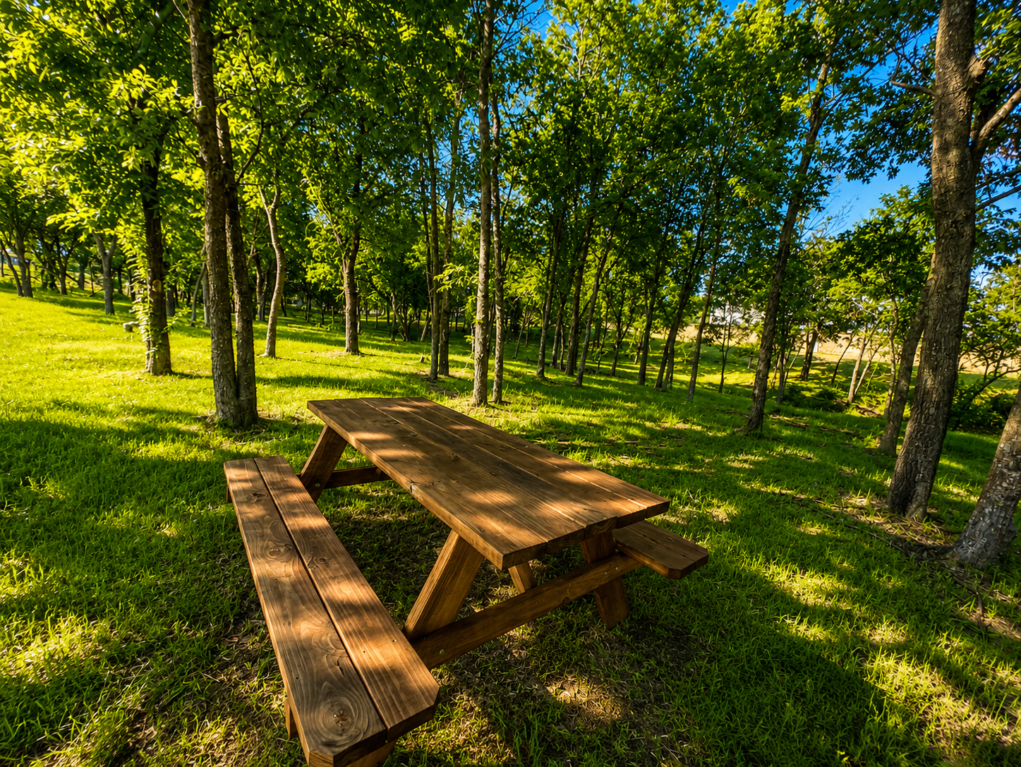 Peaceful community picnic area with mature trees and green space.