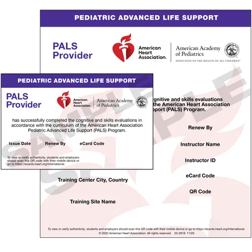 AHA Pediatric Advanced Life Support
