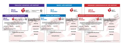 Certification bundle