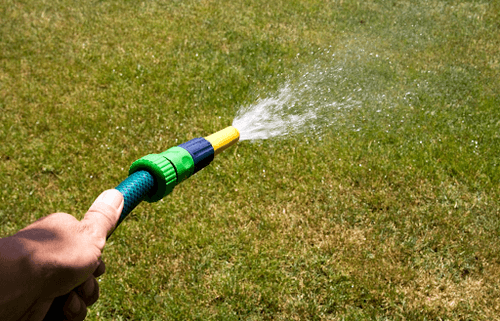 Summer Lawn Care Tips to Prevent Brown Patches, Weeds & Turf Damage