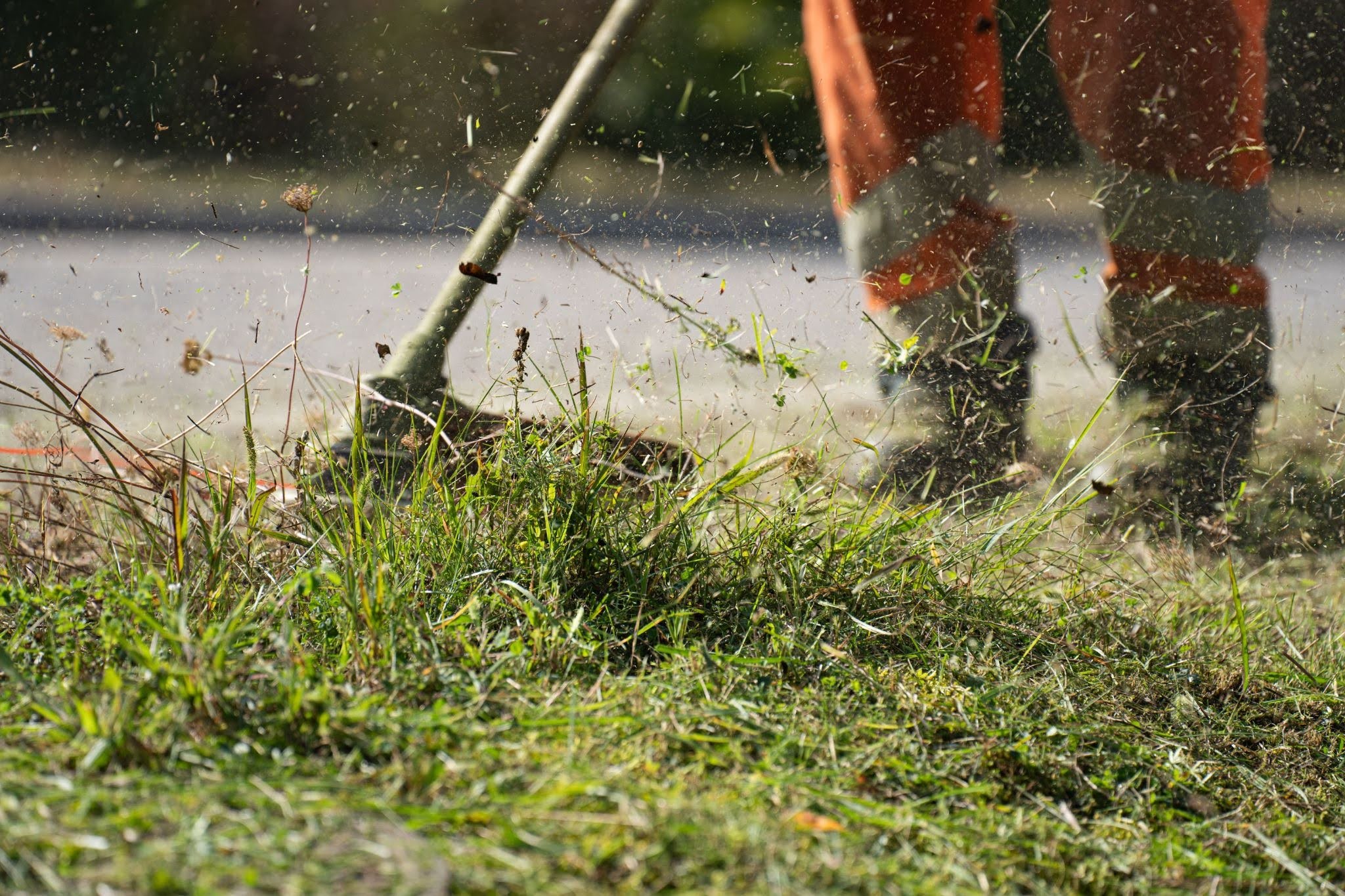 Close-up of a grass cutter trimming green grass with flying clippings