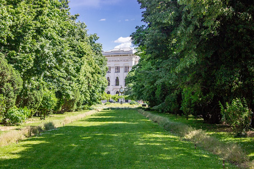 Healthy green lawn in New Jersey during summer, professionally maintained by Teed & Brown
