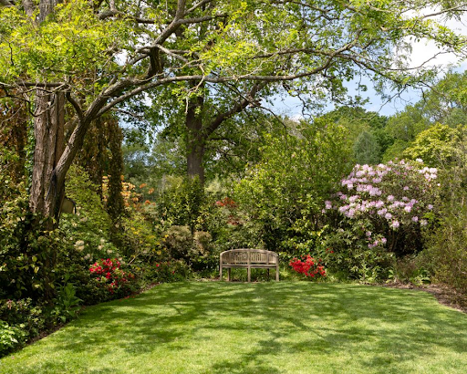 A tranquil spring lawn surrounded by lush greenery and colorful flowers