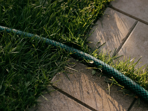 Green grass in a lawn in Westport CT