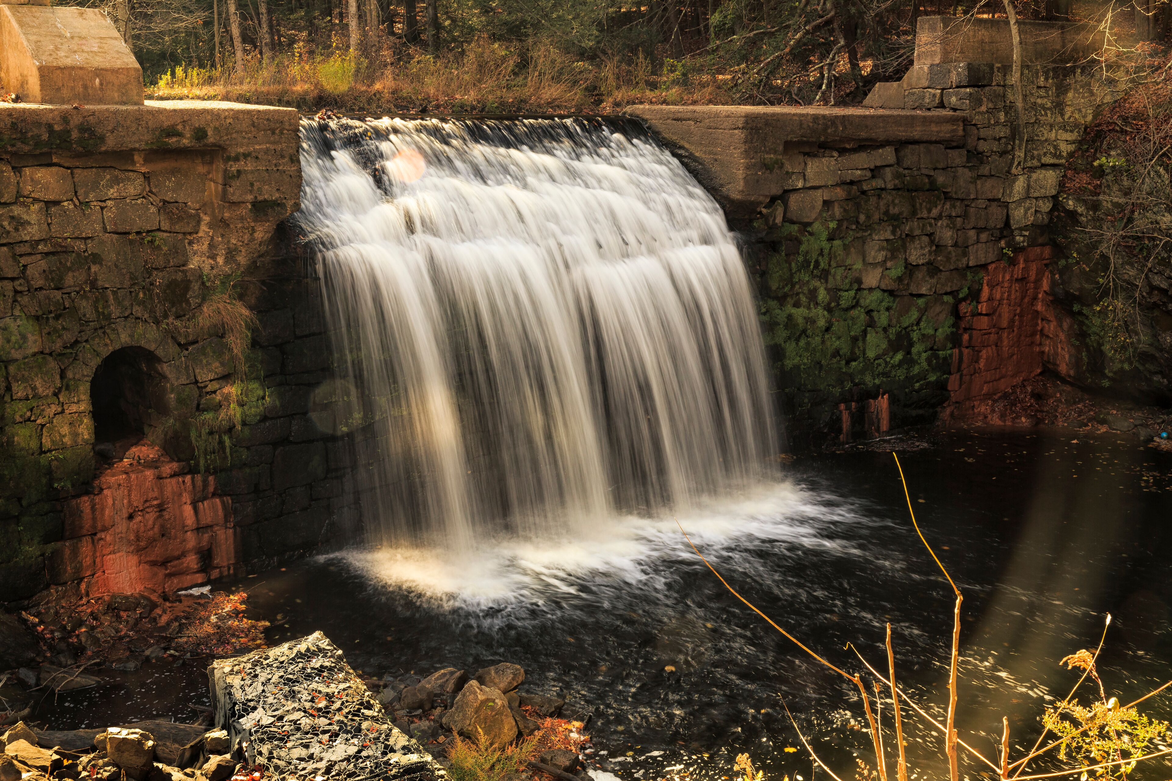 Water flowing over a small stone dam surrounded by trees and plants in warm sunlight.