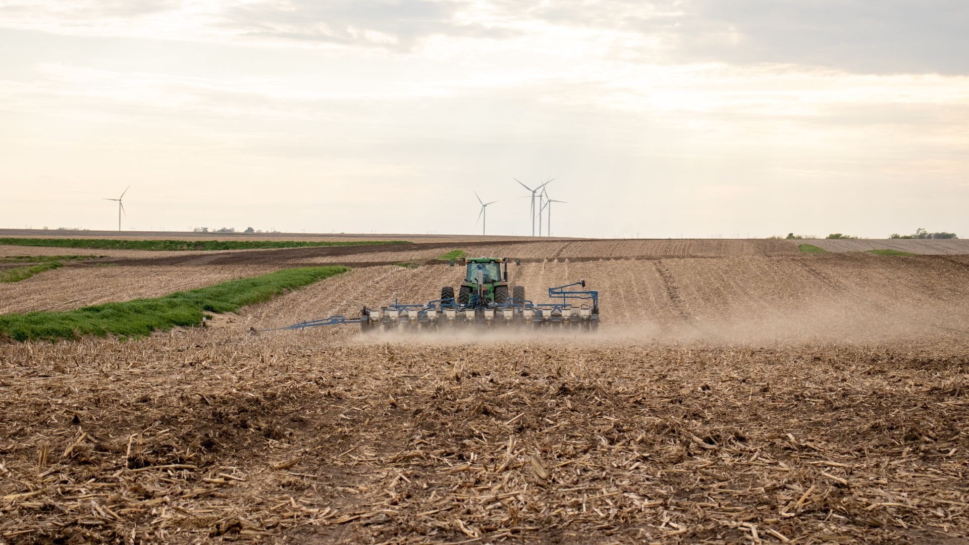 Tractor and crops