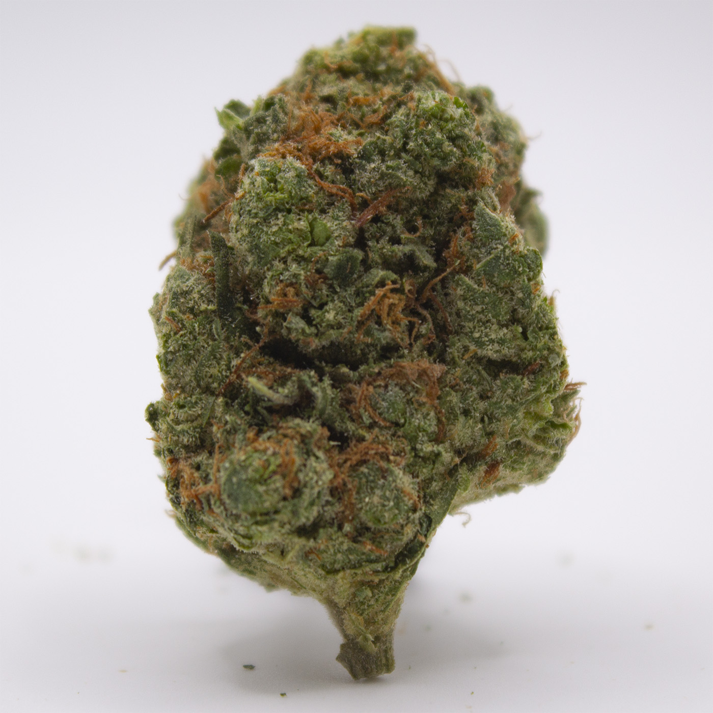 Lifted Flower: Wonderbread