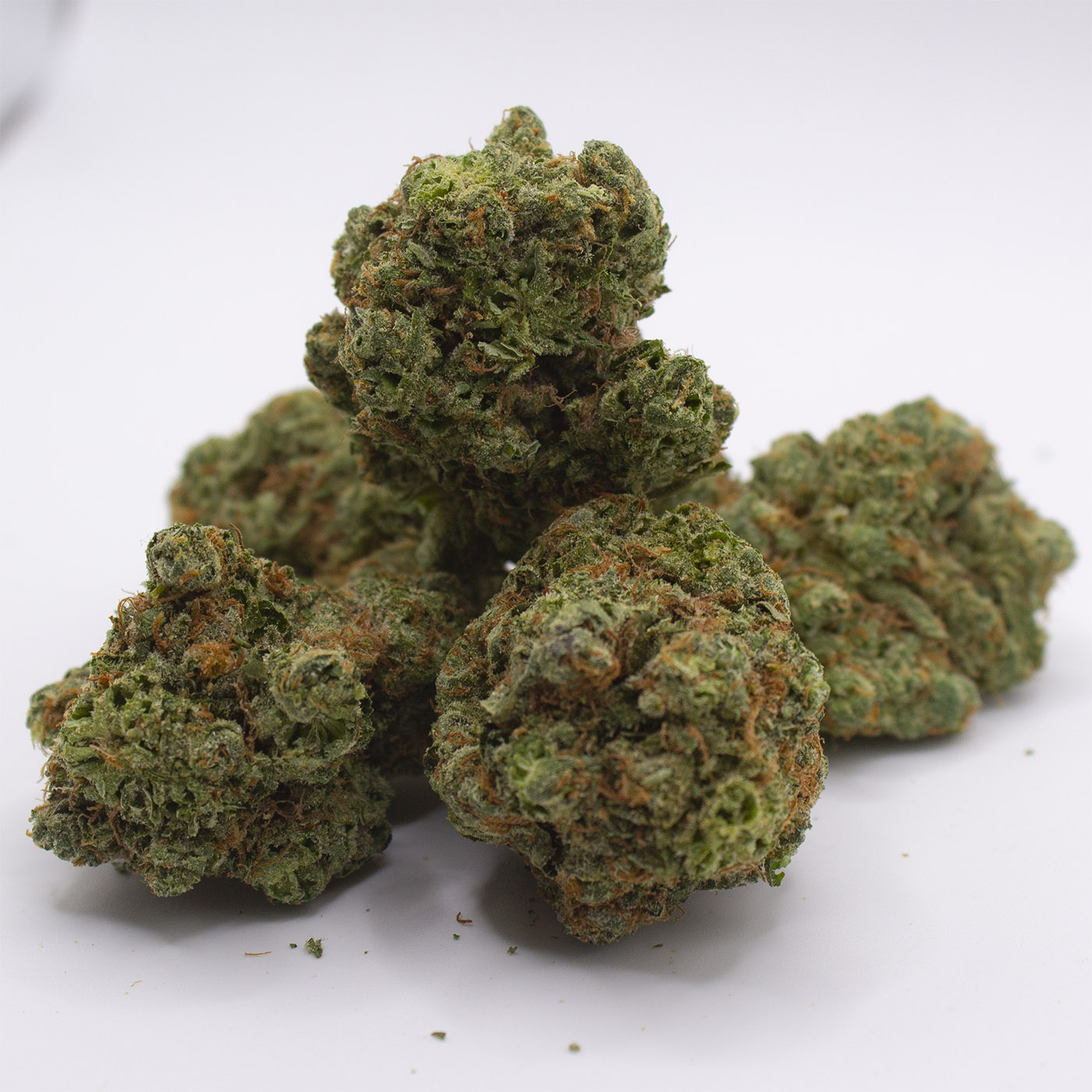 Group of Wonderbread THCa flower buds arranged on a white background