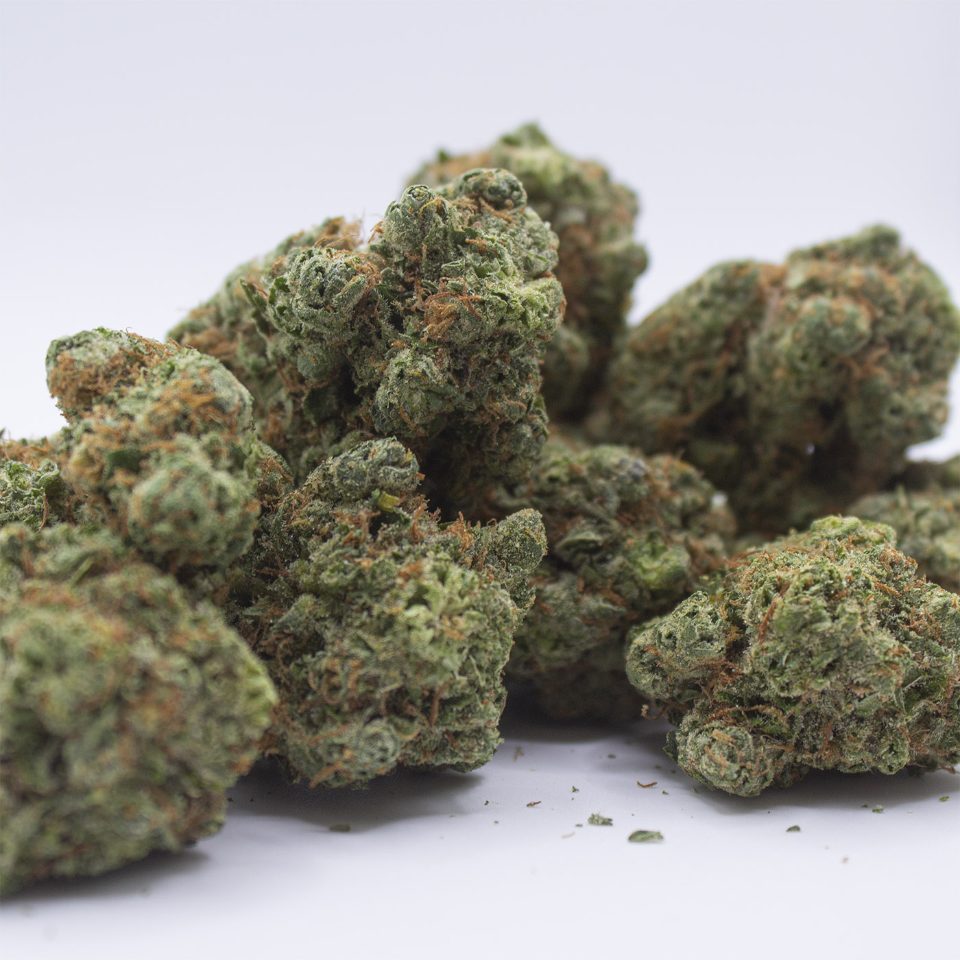 Low-angle close-up of clustered Wonderbread THCa flower buds on a white background