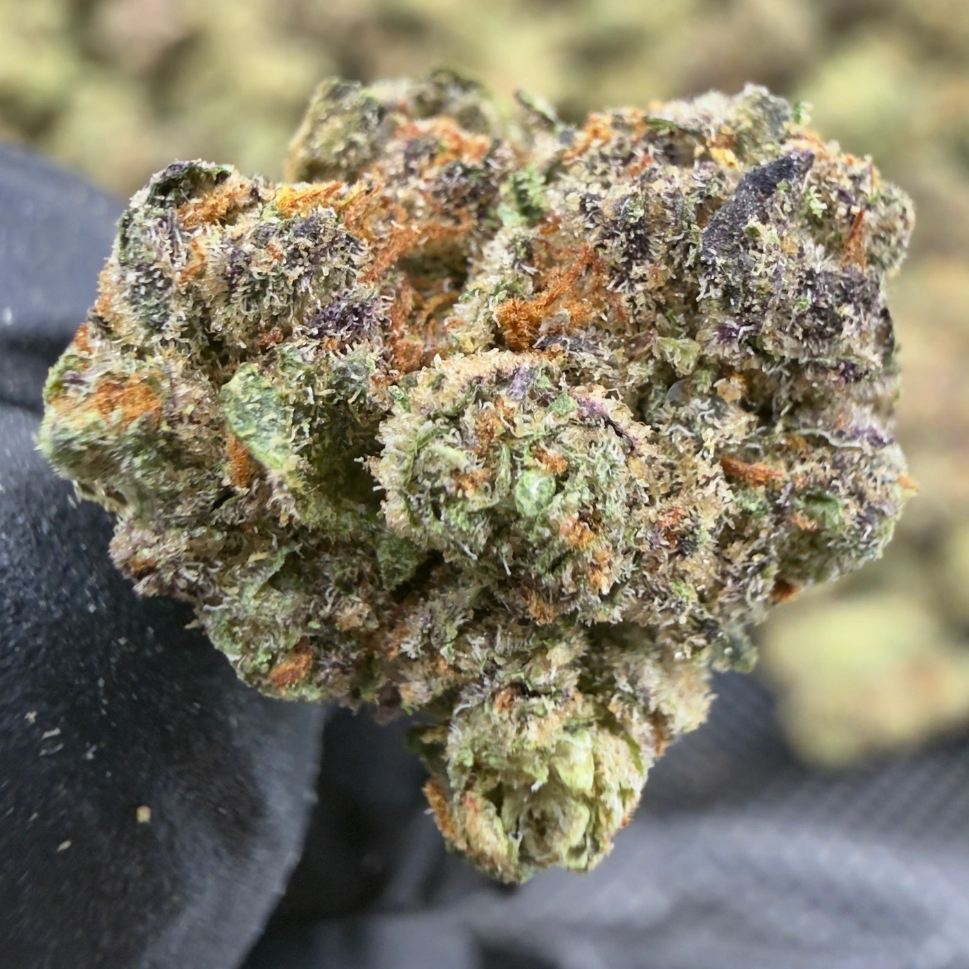 Lifted Preroll: Mimosa, product photograph 3