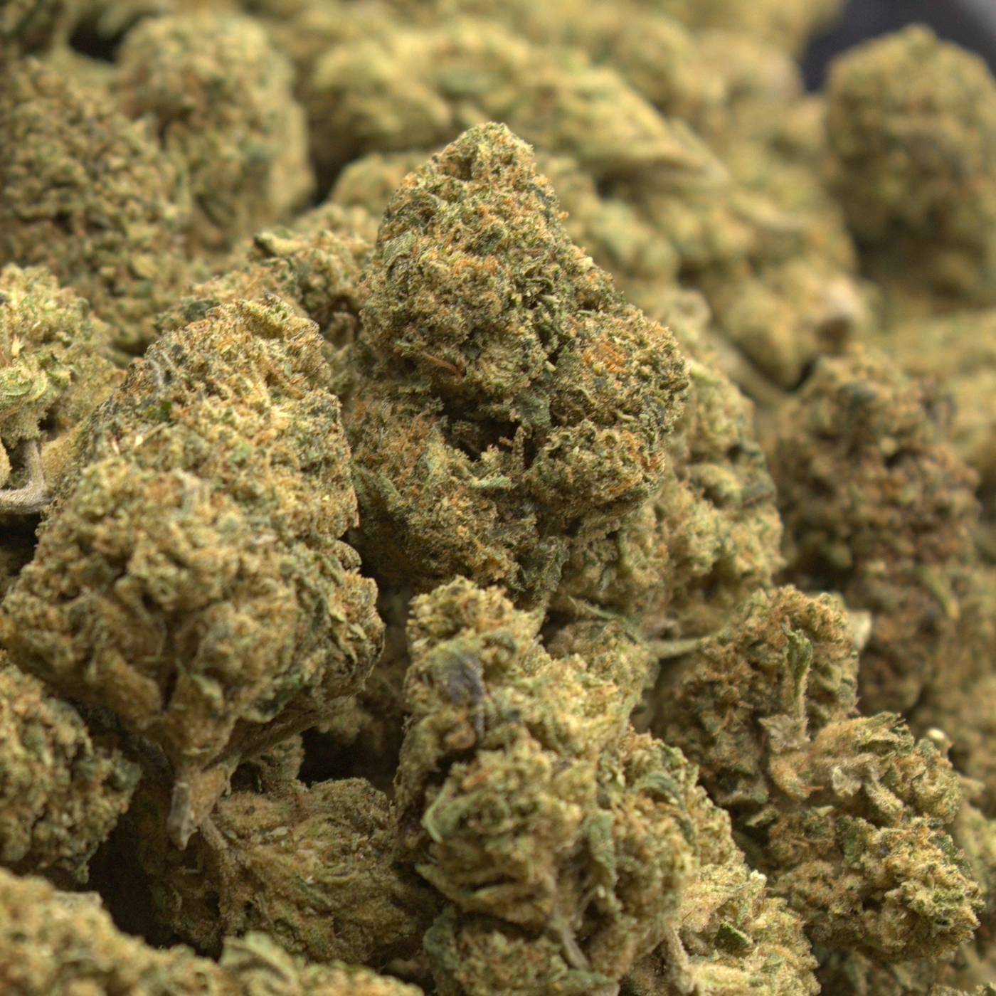 Lifted Preroll: Gelato, product photograph 4