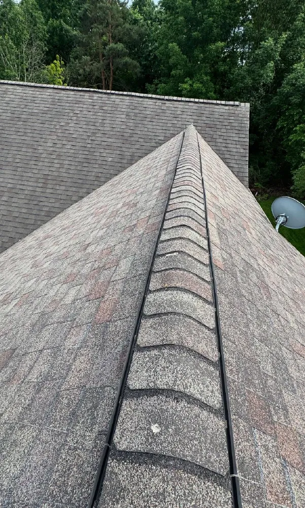 Close-up view of a shingled roof ridge with forest trees in the background and a satellite dish visible to the right.