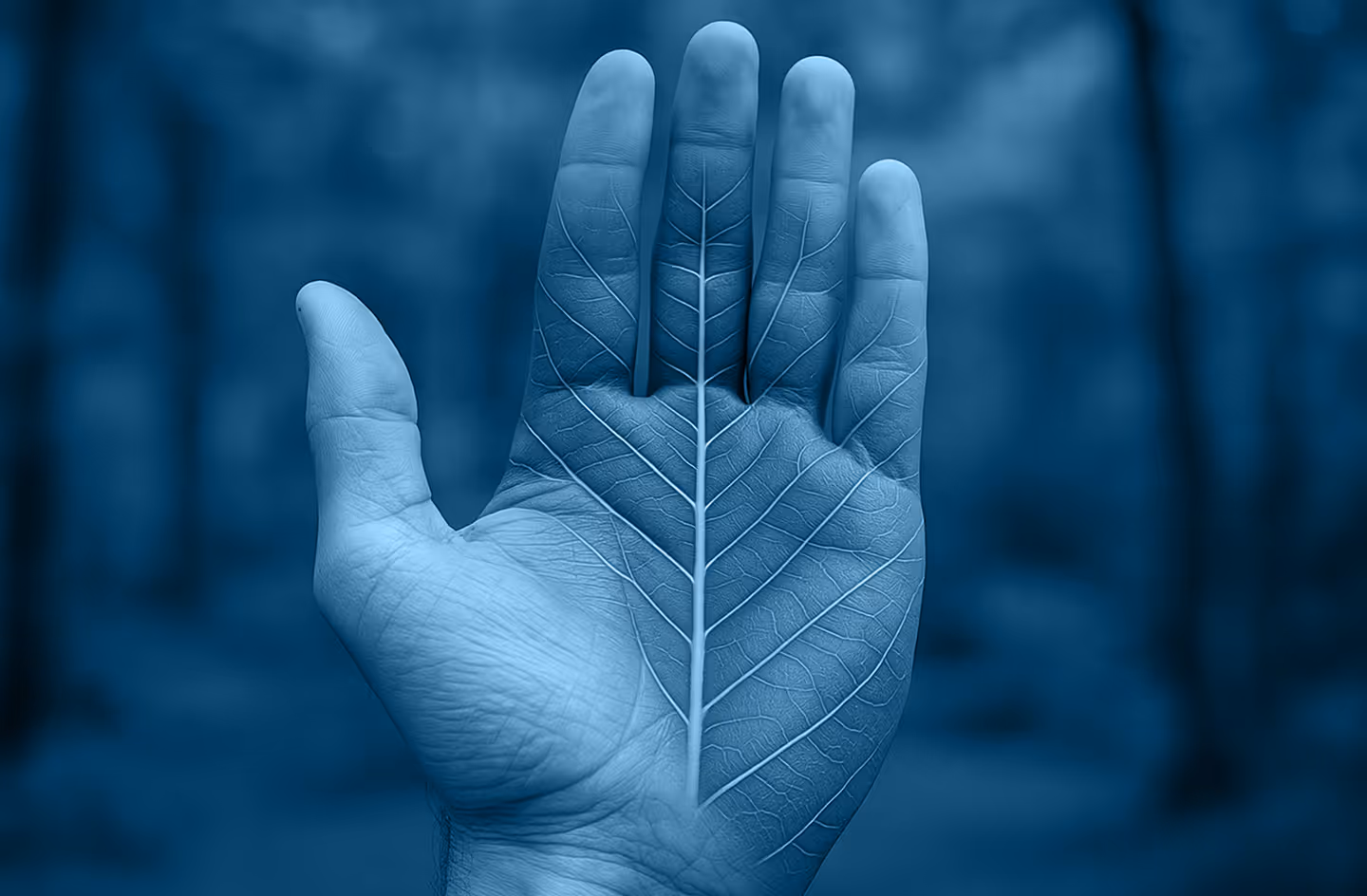 Close-up of a hand with an overlay of a leaf's vein pattern blending into the palm.