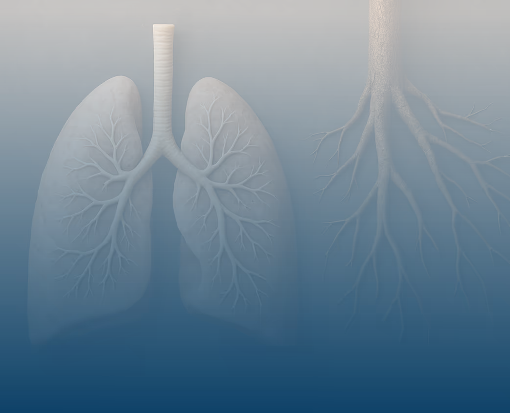 Illustration comparing human lungs with tree roots to highlight their similar branching structure.