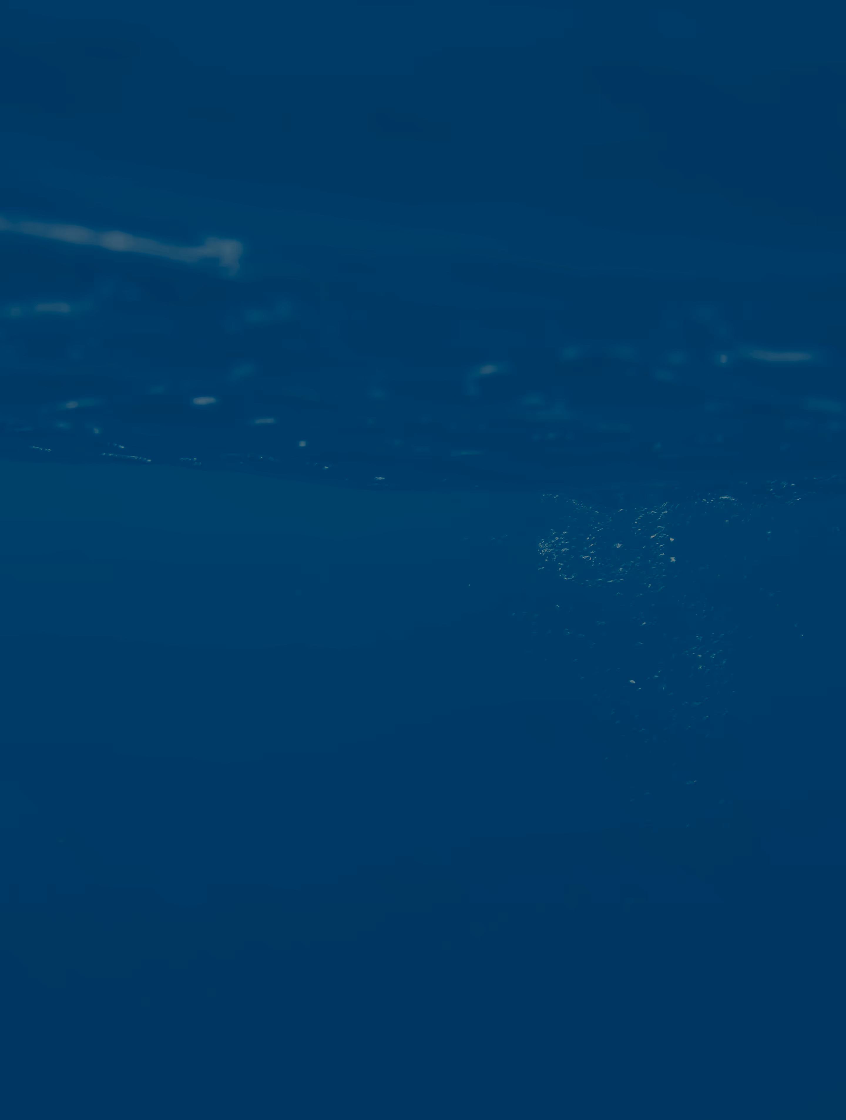 Underwater view showing the water surface above and small bubbles rising through dark blue water.
