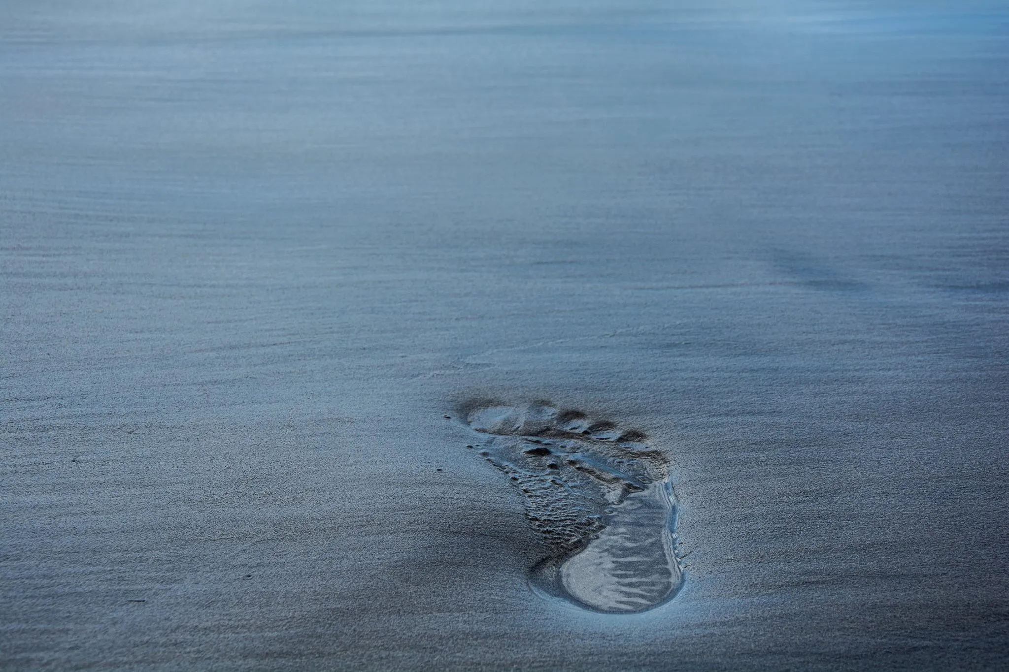 Single human footprint with water in the impression on wet sand.