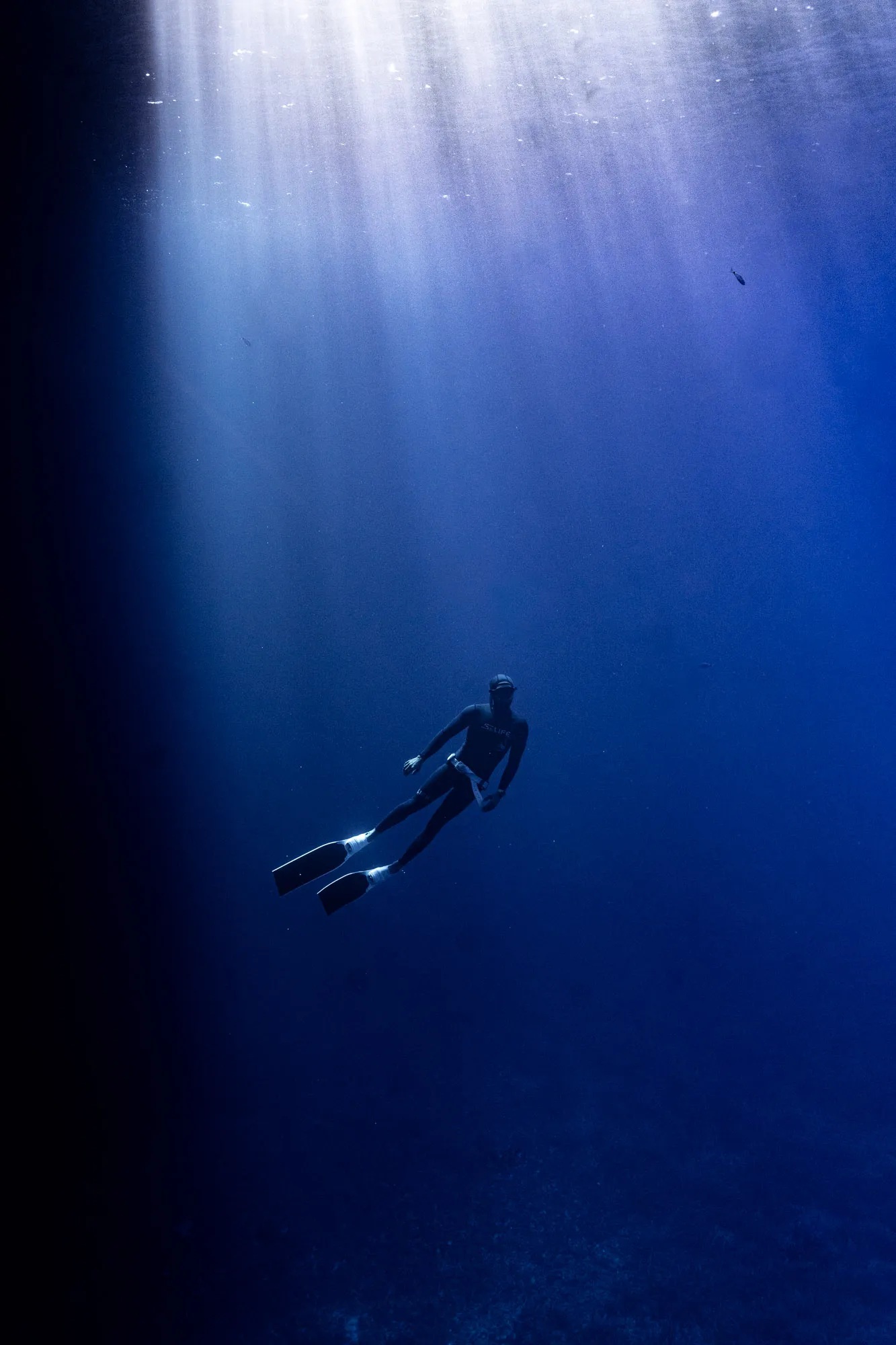 A diver in black wetsuit and fins swimming upward in deep blue ocean illuminated by sunlight rays.